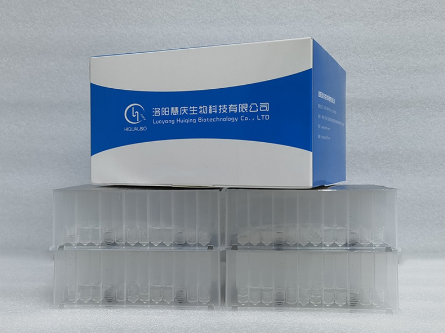 真菌核酸提取需要注意什么？